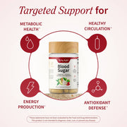 Snap Supplements Blood Sugar Health Bundle