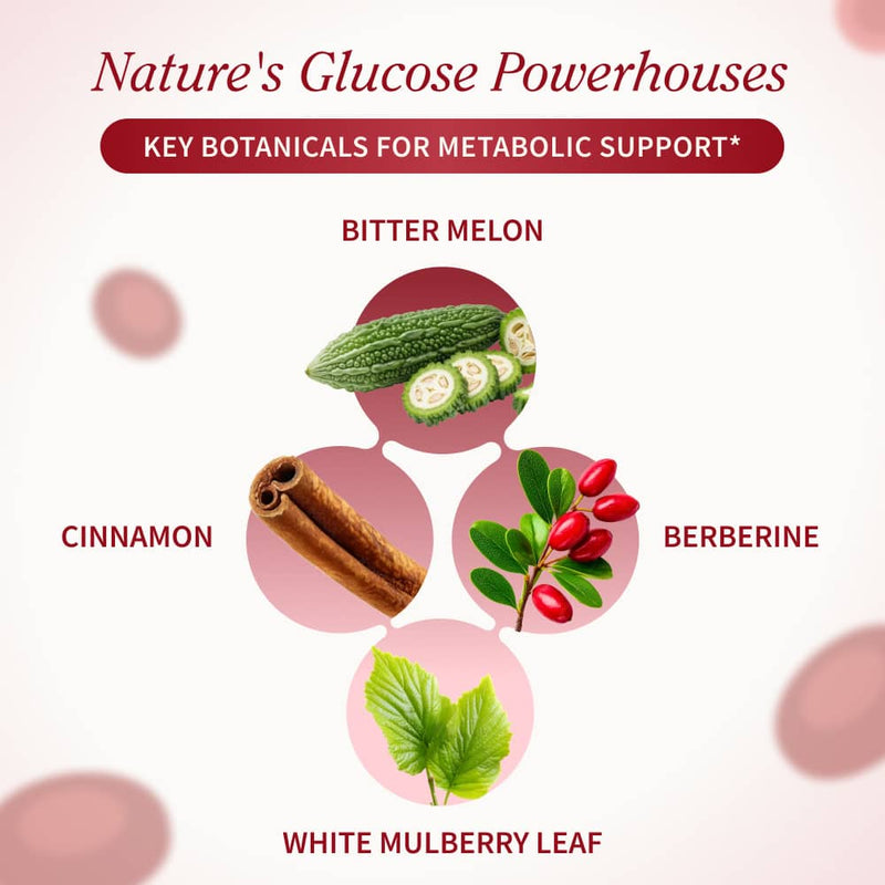 Snap Supplements Blood Sugar Health Bundle