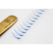 Mega Lash Academy Blue Wispy 5D Rapid Promade Fans - 600 Fans Promade Fans
