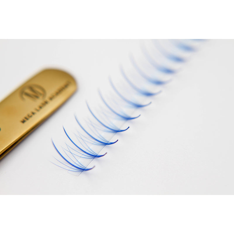 Mega Lash Academy Blue Wispy 5D Rapid Promade Fans - 600 Fans Promade Fans