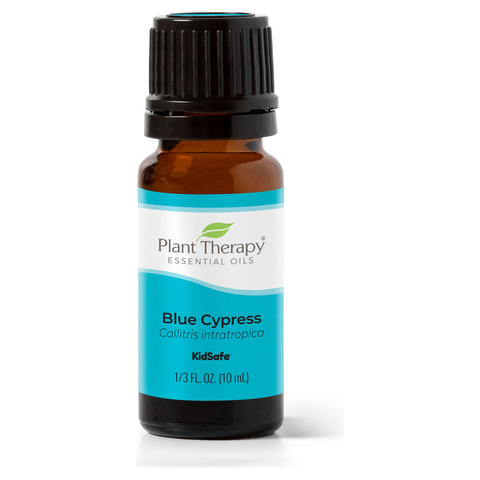 Plant Therapy - Plant Therapy - Blue Cypress Essential Oil