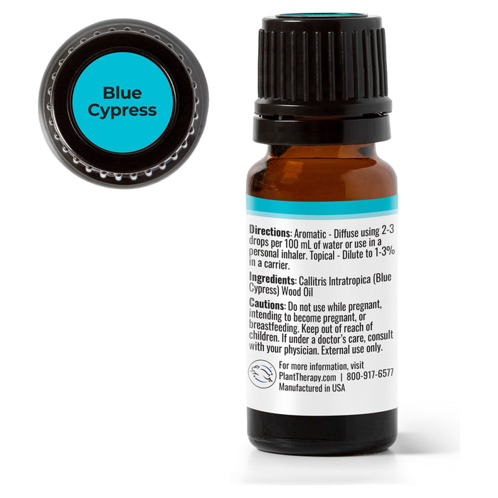 Plant Therapy - Plant Therapy - Blue Cypress Essential Oil