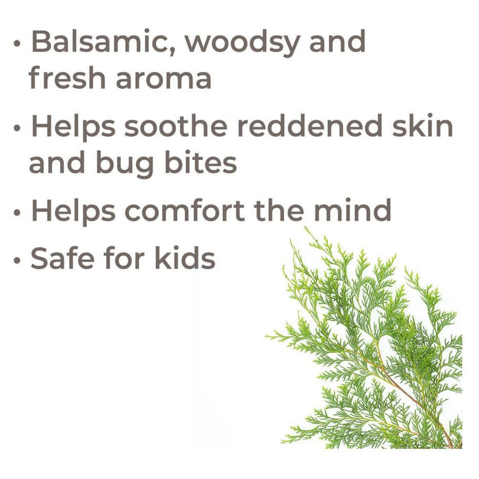 Plant Therapy - Plant Therapy - Blue Cypress Essential Oil