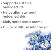 Plant Therapy Organic Blue Yarrow Essential Oil Essential Oil