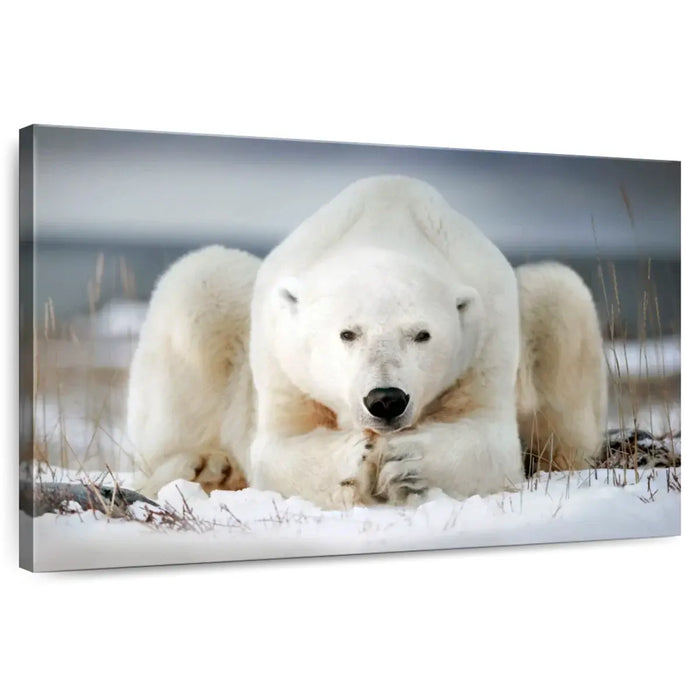 Yoga Polar Bear Wall Art