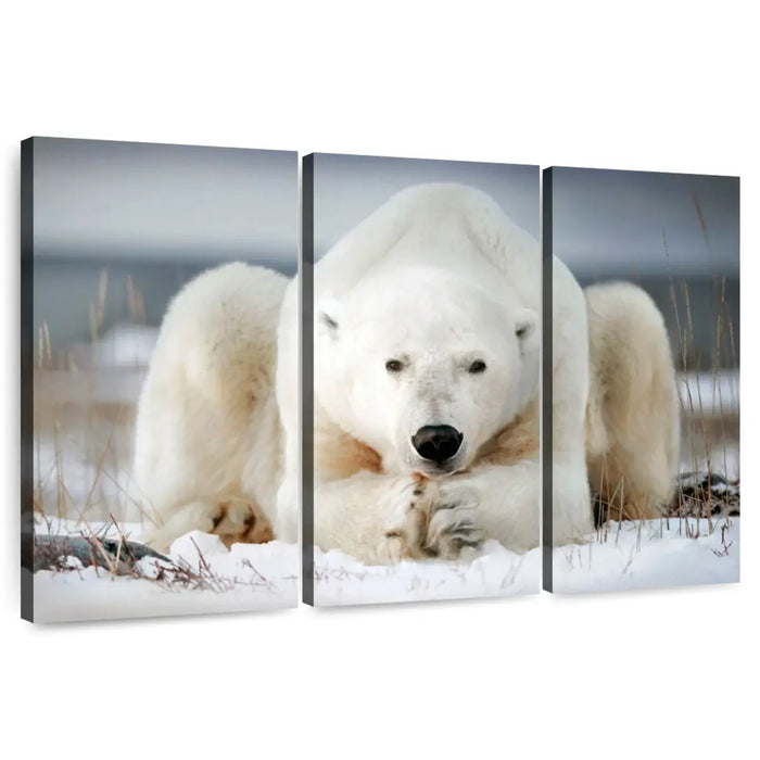 Yoga Polar Bear Wall Art