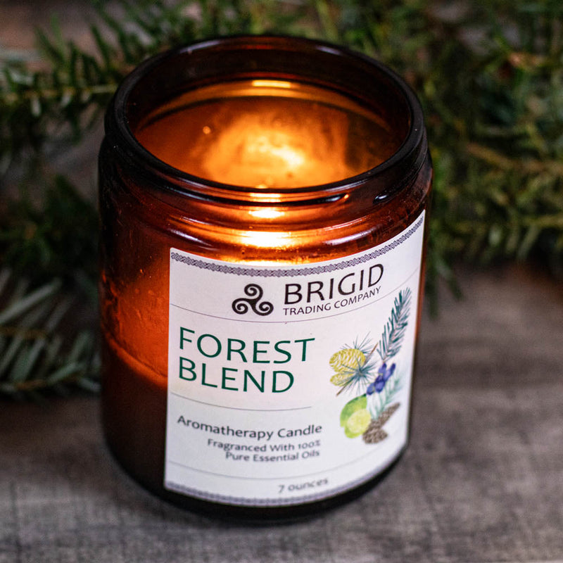 Brigid Trading Company Forest Blend Soy Wax Candle - Juniper, Pine, Balsam, Cedar, and Lime Aromatherapy Candle