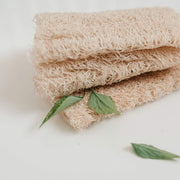 ZeroWasteStore.com Loofah Sponge Pack Bath Sponges & Loofahs