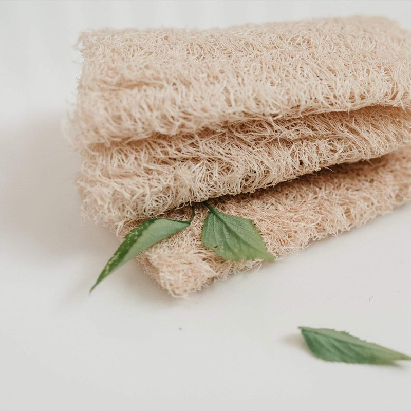 ZeroWasteStore.com Loofah Sponge Pack Bath Sponges & Loofahs