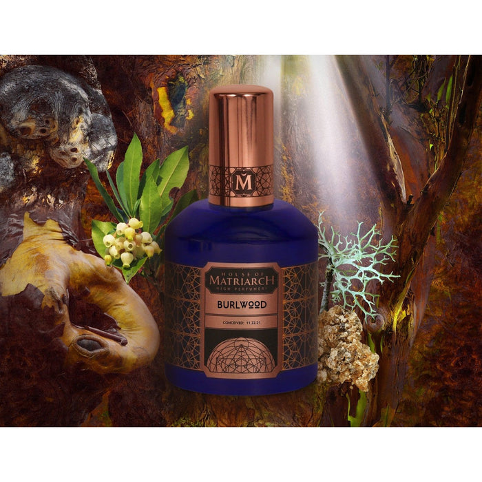 House Of Matriarch High Perfumery - Burlwood - Noble Woods Perfume