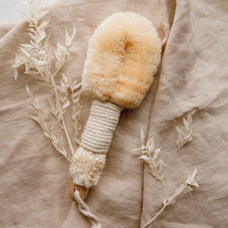 ZeroWasteStore.com Dry Body Brush Bath & Body