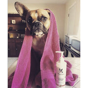 Warren London Hydrating Butter - For Dog's Skin & Coat - Leave-In Moisturizer Spa Product