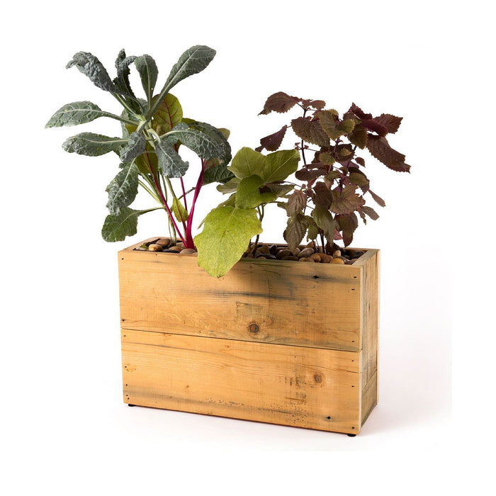 Modern Sprout - Modern Sprout - Reclaimed Wood Planter