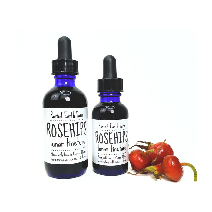 Rooted Earth Farm + Apothecary - Rose Hip Tincture 1oz - 2oz