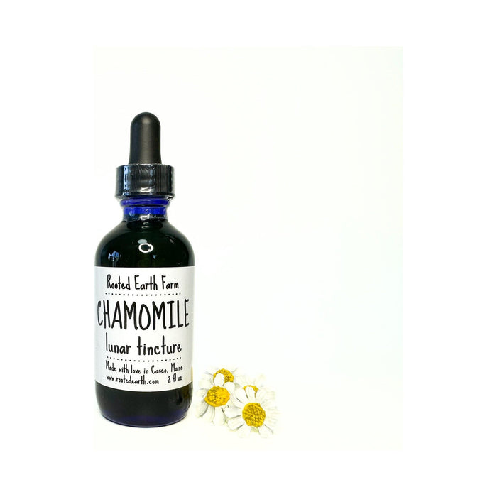 Chamomile Tincture