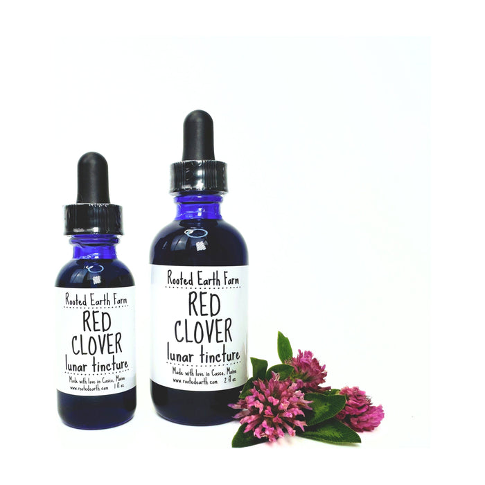 Rooted Earth Farm + Apothecary - Red Clover Tincture 1oz | 2oz