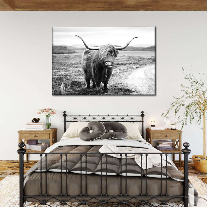 Highland Bull Wall Art