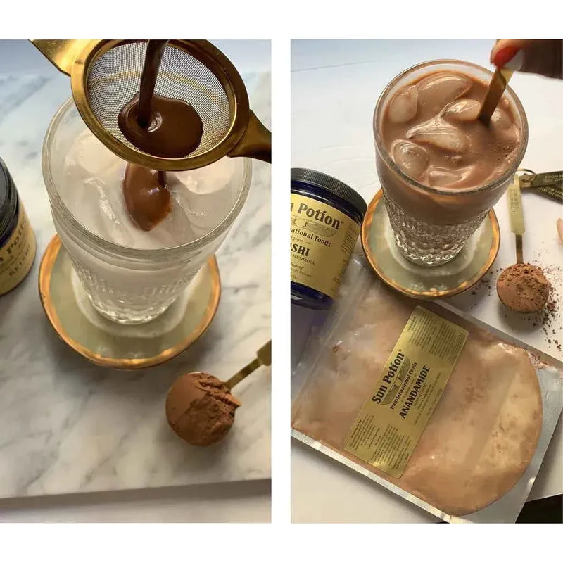 Sun Potion Reishi Mushroom Powder (Organic) Adaptogen