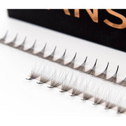 Mega Lash Academy Camellia 10D Rapid Promade Fans® Promade Fans