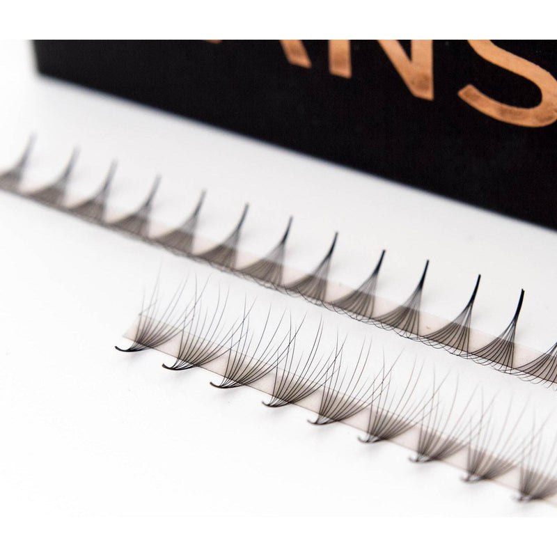 Mega Lash Academy Camellia 10D Rapid Promade Fans® Promade Fans