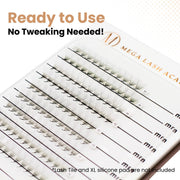 Mega Lash Academy Camellia 8D Rapid Promade Fans® Promade Fans