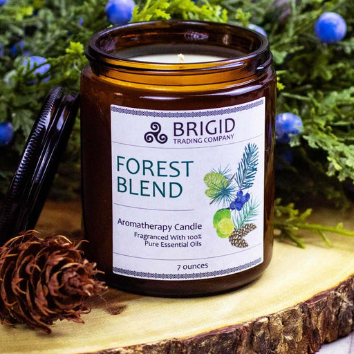 Brigid Trading Company Forest Blend Soy Wax Candle - Juniper, Pine, Balsam, Cedar, and Lime Aromatherapy Candle