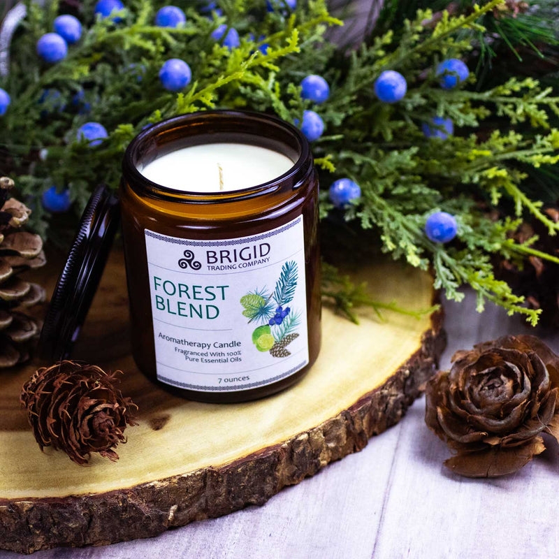 Brigid Trading Company Forest Blend Soy Wax Candle - Juniper, Pine, Balsam, Cedar, and Lime Aromatherapy Candle