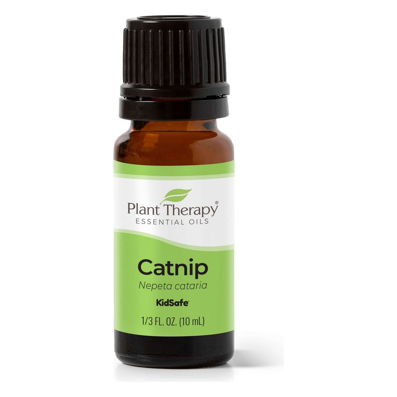 Plant Therapy Catnip Essential Oil Essential Oil