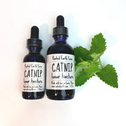 Rooted Earth Farm + Apothecary Catnip Tincture Tinctures + Capsules