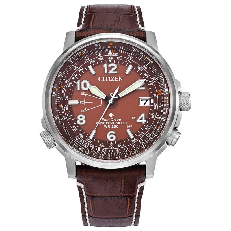 Bids.com Citizen Men's Eco Skjy Watches