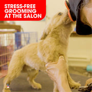 Warren London Distract-A-Hat ™ The Dog Lick Hat Pet Grooming Supplies