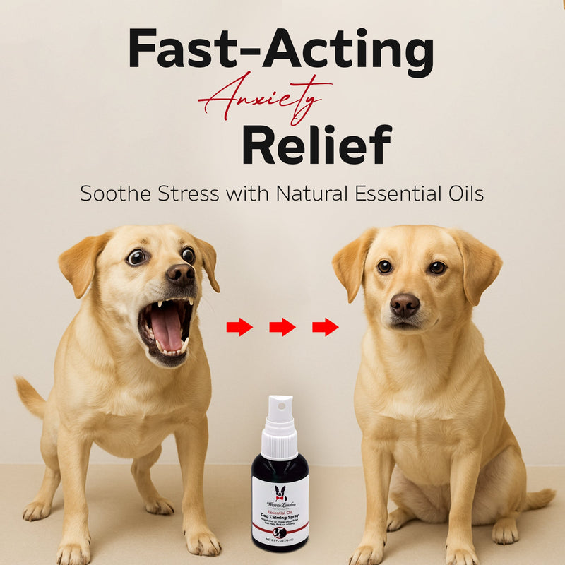 Warren London Essential Oil Dog Calming Spray Spa Product