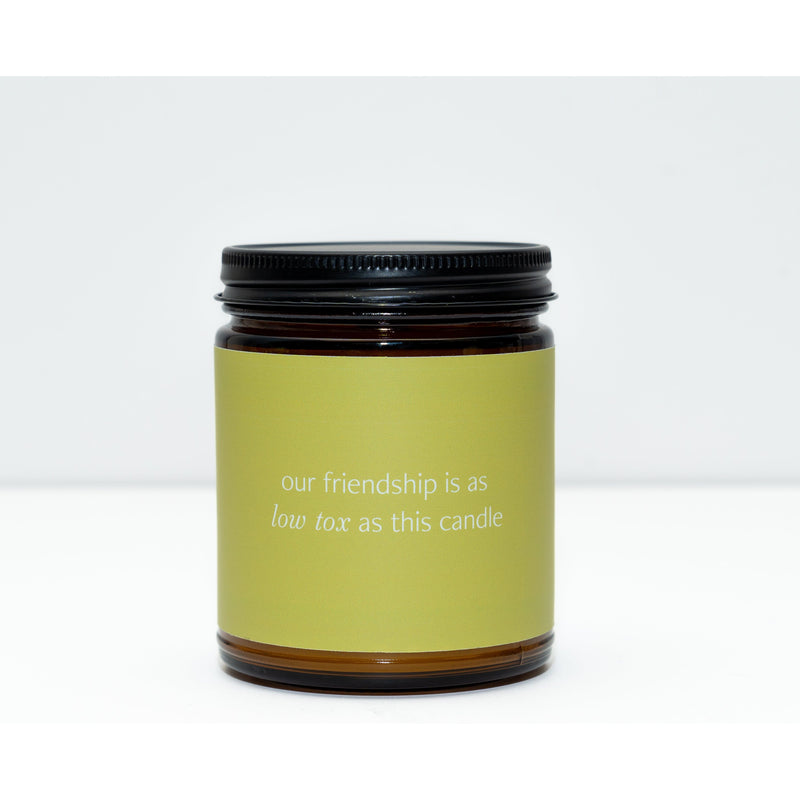 Fontana Candle Co Low Tox Friendship Jar Candle Candles