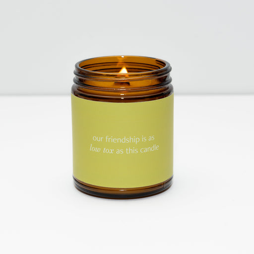 Fontana Candle Co Low Tox Friendship Jar Candle Candles