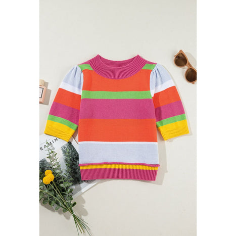 Color Block Round Neck Half Sleeve Knit Top