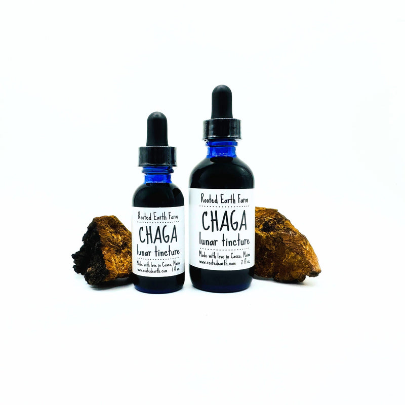 Rooted Earth Farm + Apothecary Maine Chaga Tincture Tinctures + Capsules