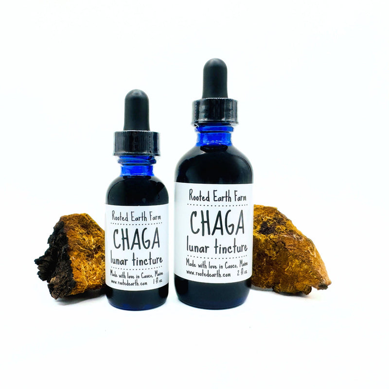 Rooted Earth Farm + Apothecary Maine Chaga Tincture Tinctures + Capsules