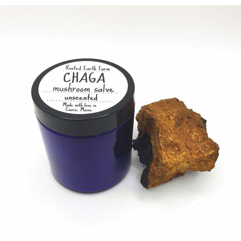 Rooted Earth Farm + Apothecary Chaga Salve Herbal Salves + Balms