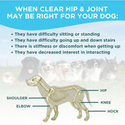 Clear Wellness 360 Clear Hip & Joint Health for Dogs