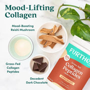 Further Food Chocolate Collagen Peptides Powder Collagen