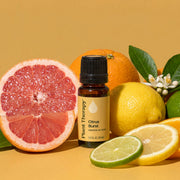 Plant Therapy Citrus Burst Essential Oil Blend Essential Oil