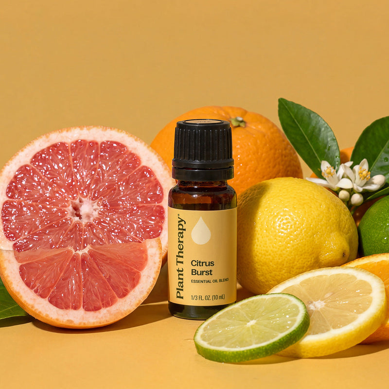 Plant Therapy Citrus Burst Essential Oil Blend Essential Oil