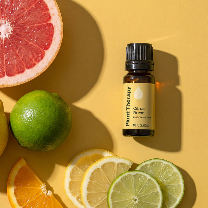 Plant Therapy Citrus Burst Essential Oil Blend Essential Oil
