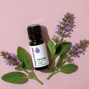 Plant Therapy Clary Sage Essential Oil Essential Oil