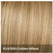 VIP Extensions CLIP-IN BANGS by Hairdo Color Hair Extension