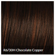 VIP Extensions CLIP-IN BANGS by Hairdo Color Hair Extension
