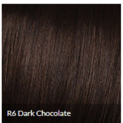 VIP Extensions CLIP-IN BANGS by Hairdo Color Hair Extension