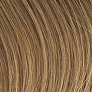 VIP Extensions Clip in Human Hair Highlight Extension 18'' BY hairdo Hair Extension