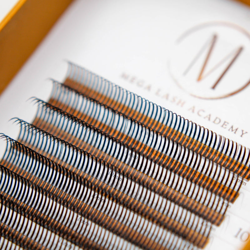 Mega Lash Academy 0.07 Closed Fans - Spikes for Wet Sets - 800 Fans Lash Trays