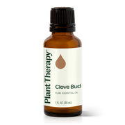 Plant Therapy Clove Bud Essential Oil Essential Oil